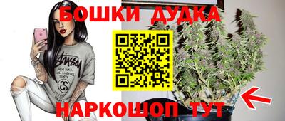 крисы Ипатово