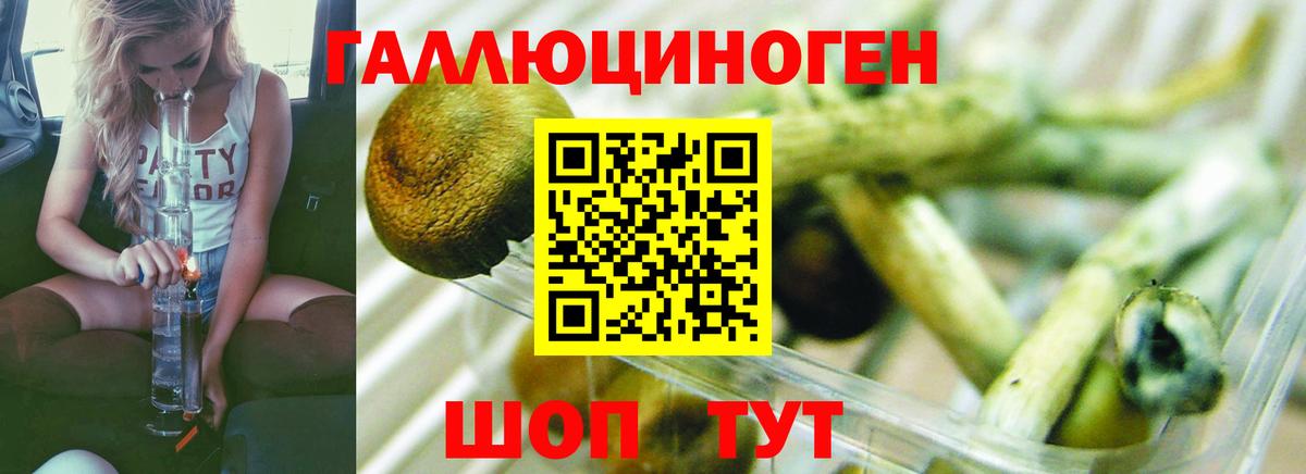 Луга  Галлюциногенные грибы MAGIC MUSHROOMS  Вход с VPN 